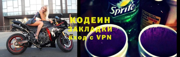 индика Гусиноозёрск