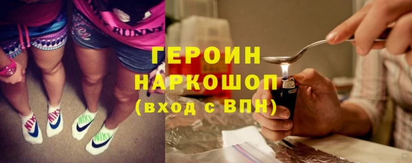 индика Гусиноозёрск