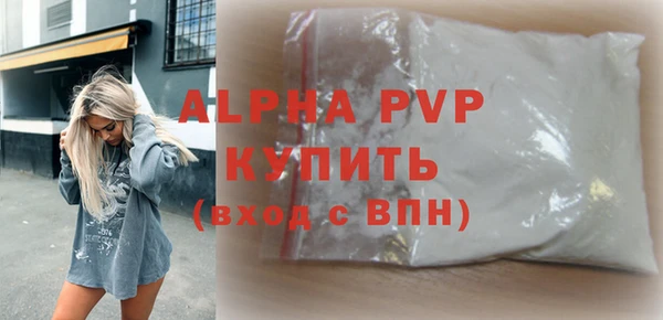 индика Гусиноозёрск