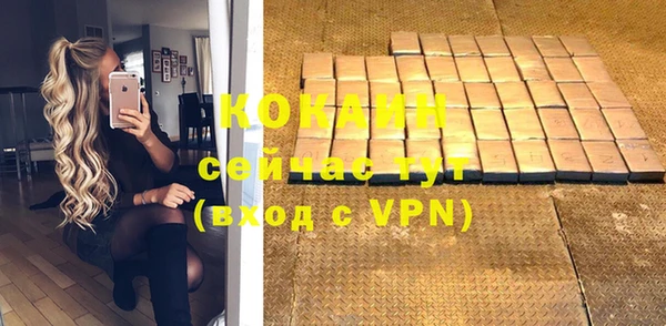 индика Гусиноозёрск