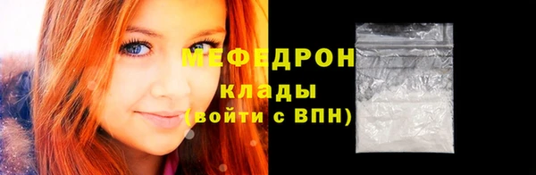 индика Гусиноозёрск