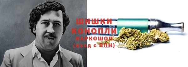 МДПВ Дмитриев