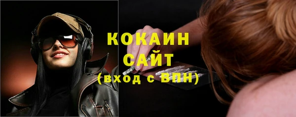 мяу мяу мука Гусь-Хрустальный