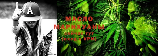 мяу мяу мука Гусь-Хрустальный