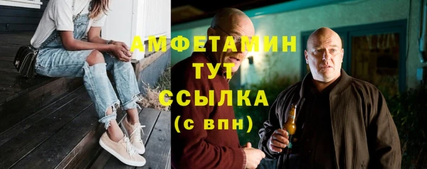 шишки Дмитровск