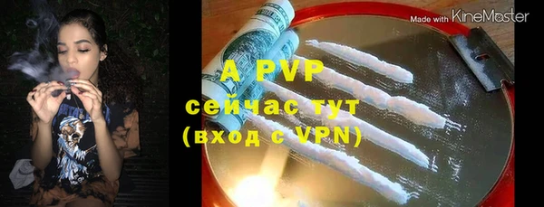 мяу мяу мука Гусь-Хрустальный