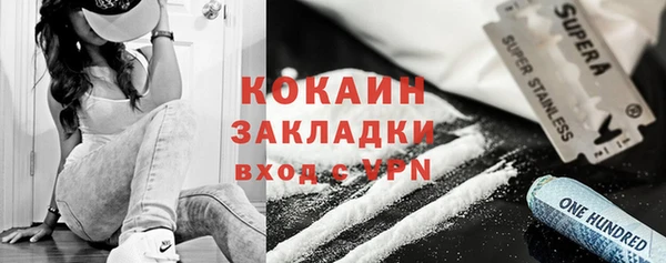 индика Гусиноозёрск